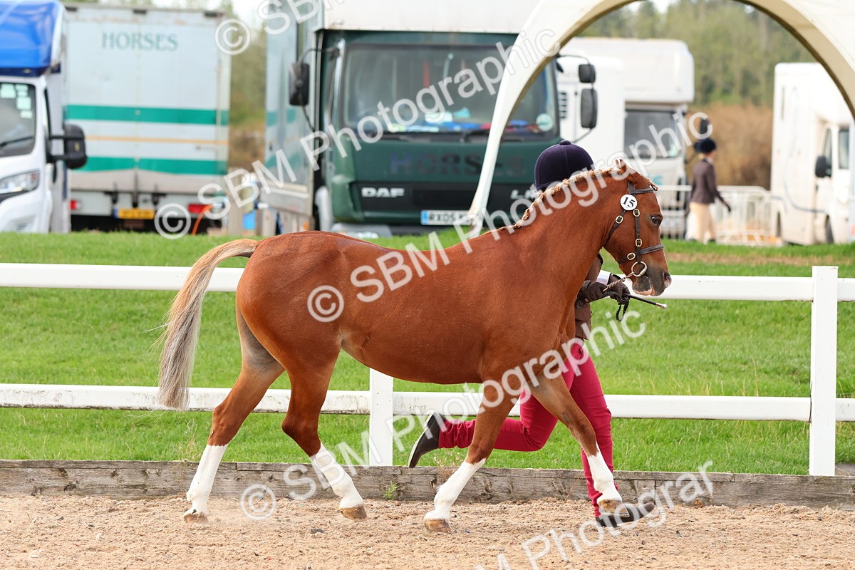 SBM_09191 - Class 204 - Young Handler