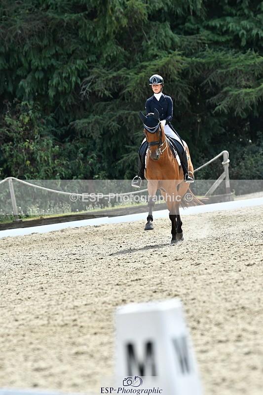 260802A-153213-07463 - Intermediate Bronze