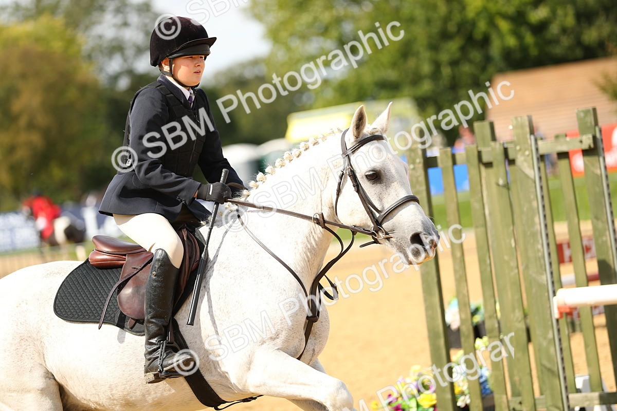 SBM_67339 - J17 - Junior Pony 80cm Championship
