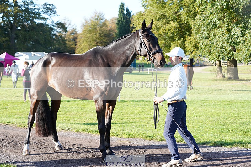 241026-101402-11701 - 051-Tommy.Greengard-BALLADEER.KILBRICKENS.LAD