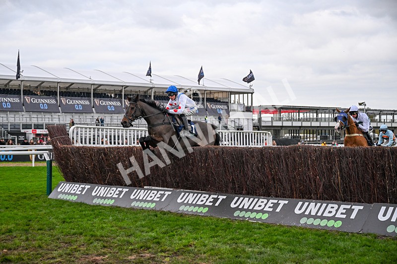 161125-Race 4-Protektorat-5971 - Race 4