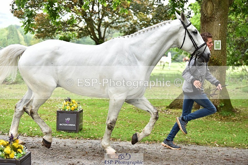 240522-172446-01590 - 285-CHF_BALLYTURN_BRILLIANT-Pascal_Van_moort