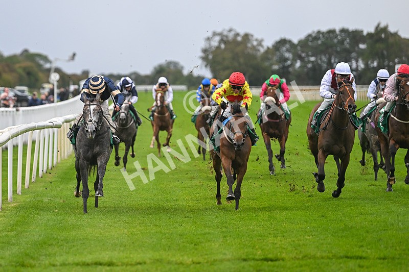 150925-Race 2-Rum Therapy-2382 - Race 2