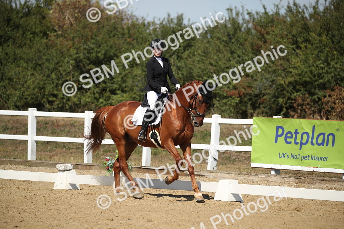 SBM_005124 - Class 11 - Novice 5 - 11.41-12.58