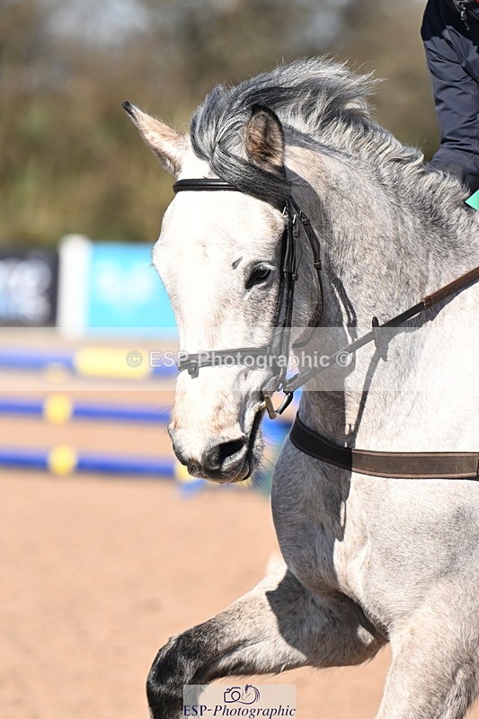 260318B-100150-00043 - Clear Round & Brit Nov 90cm