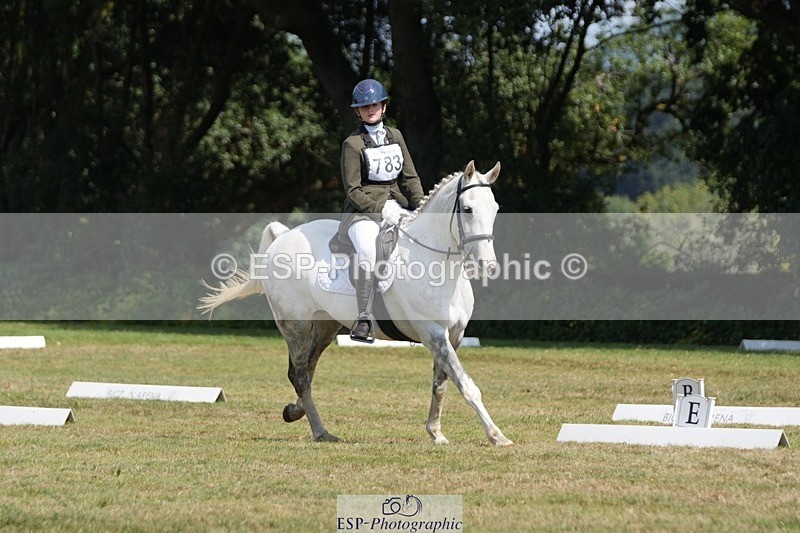 250823A-133014-31051 - Arena B