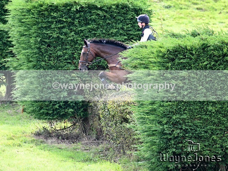 WJ7_7662 - Edited Examples