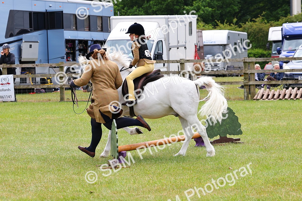 SBM_08192 - Class 42-43 - LIHS BSPS Heritage Working Sports Pony