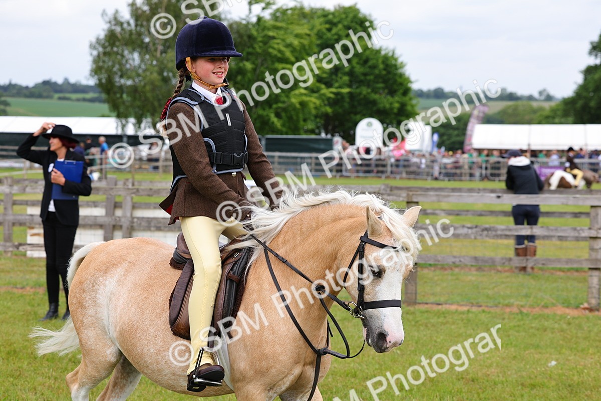 SBM_08555 - Class 42-43 - LIHS BSPS Heritage Working Sports Pony