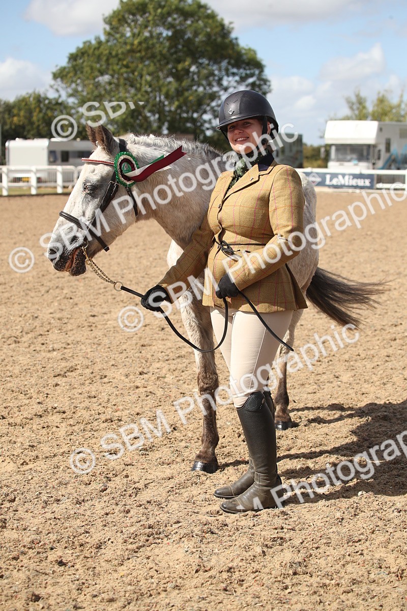 SBM_23488 - Class 604 - 2026 - Area IH Diamond