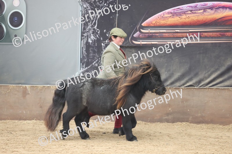 20251109-0267 - Class 11 - 2 and 3 Year Old