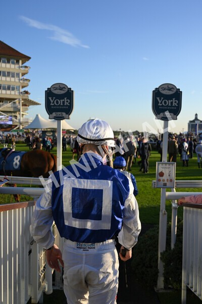 yr08102021r7-1 - Race 7 5.25pm The IRE Incentive, It Pays To Buy Irish Handicap
