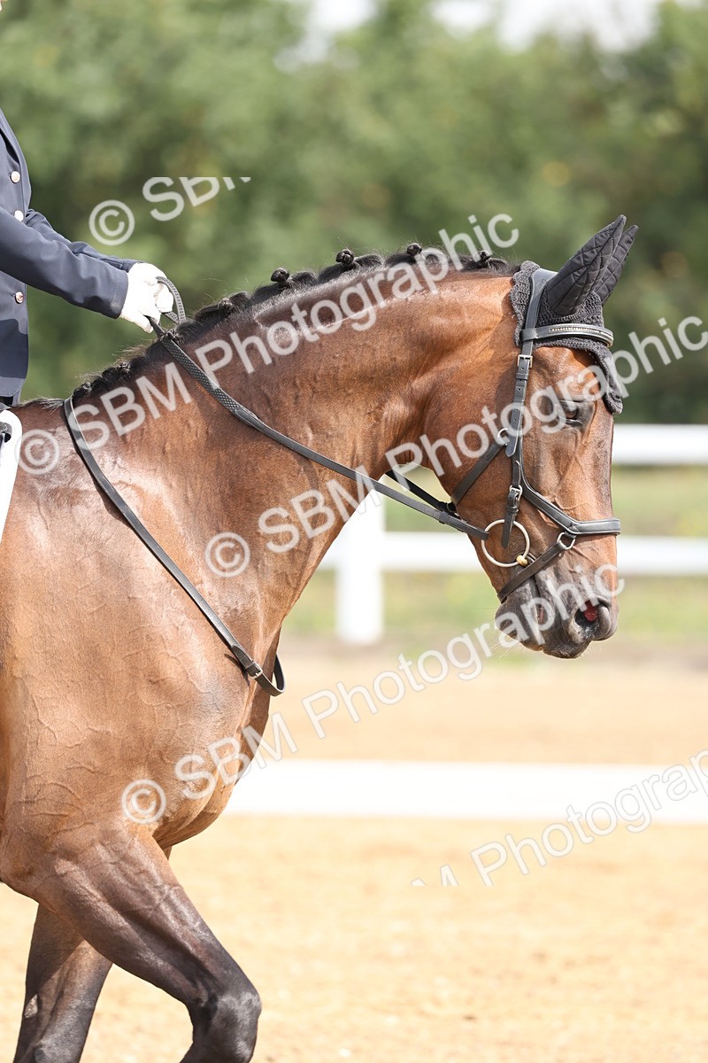 SBM_005717 - Class 6 - Novice 6 - 10.26-11.29