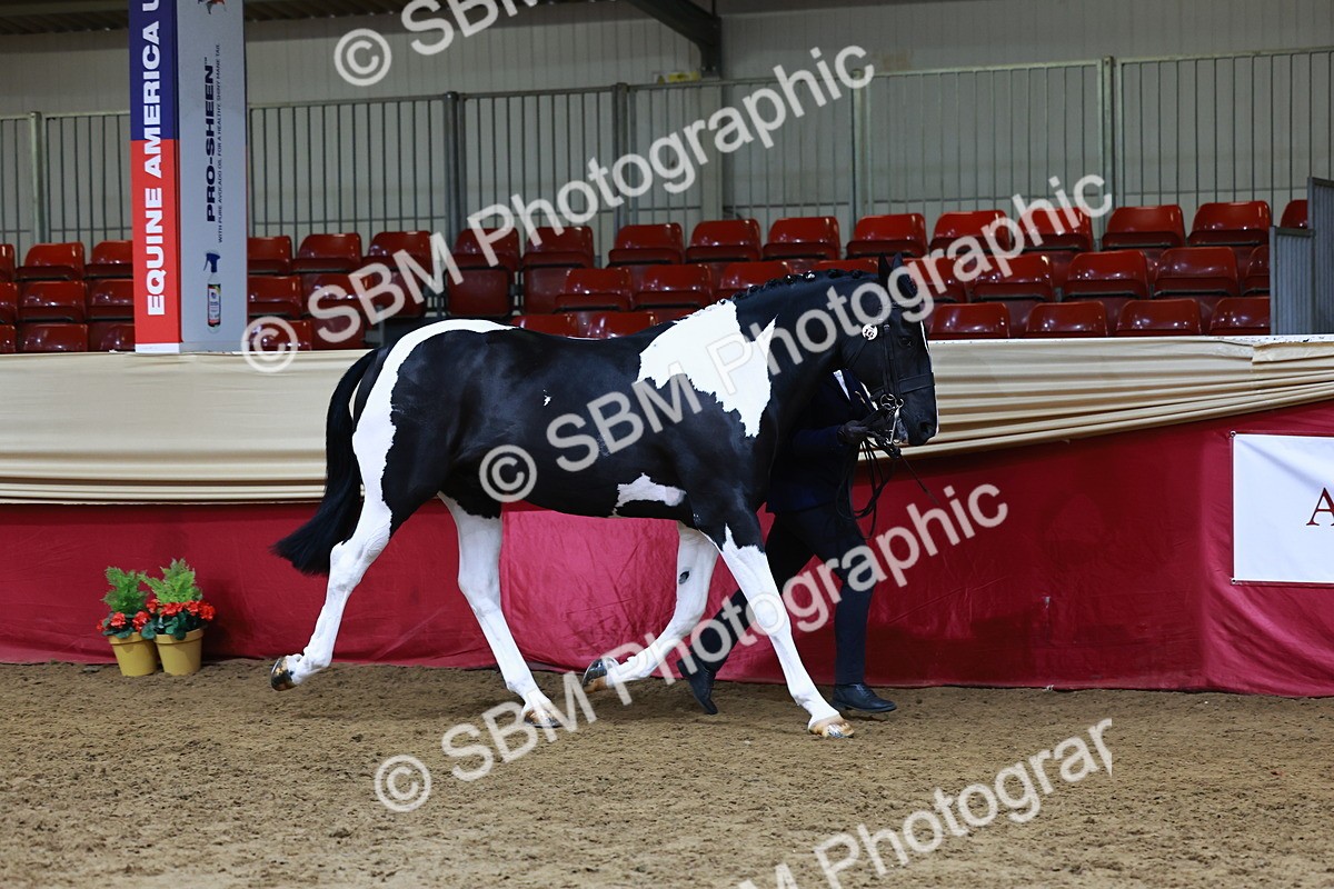 SBM_23034 - Supreme Final - IH  Champ