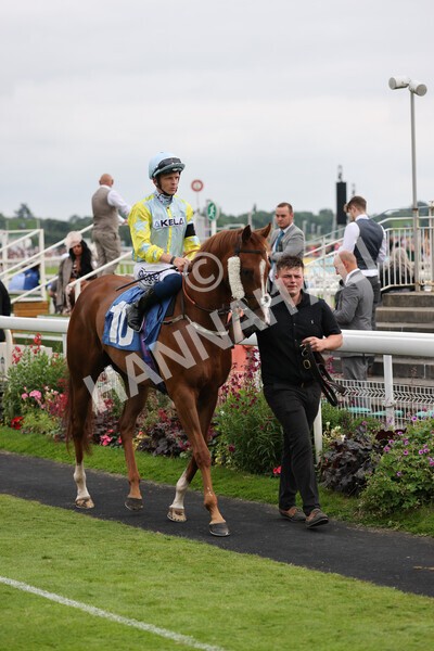 yr24072021r7-34 - Race 7 5.35pm The Sporting Life Fast Results Stakes