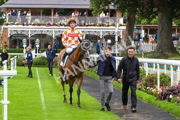 130724-Race 7-Ray Vonn-7935 - Race 7 5.25pm John Smith's Sprint Handicap