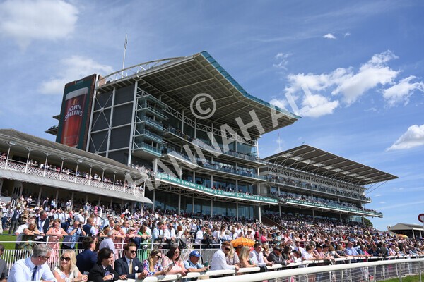 yr09072022r4-12 - Race 4 3.30pm John Smith's Nursery Stakes