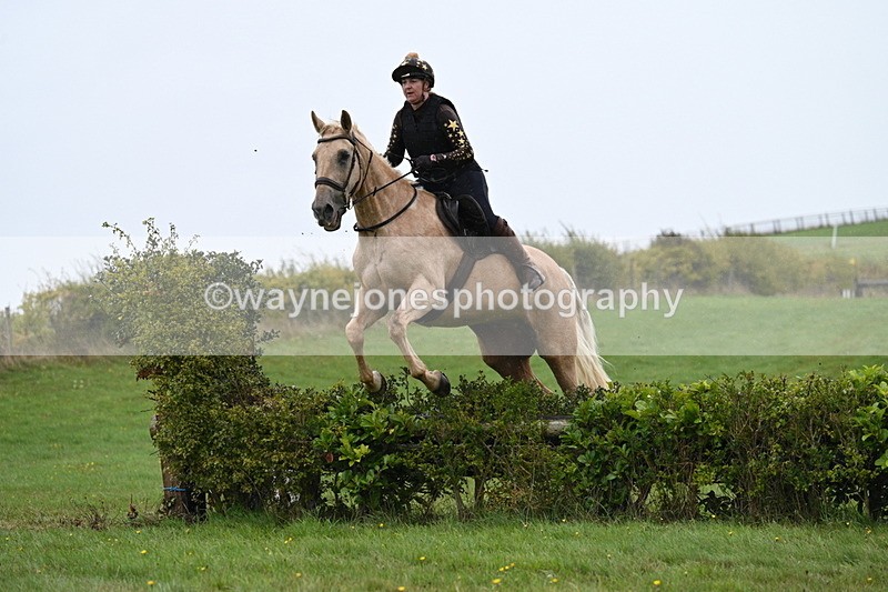 WJ7_9219 - Time 14:01 to 14:20