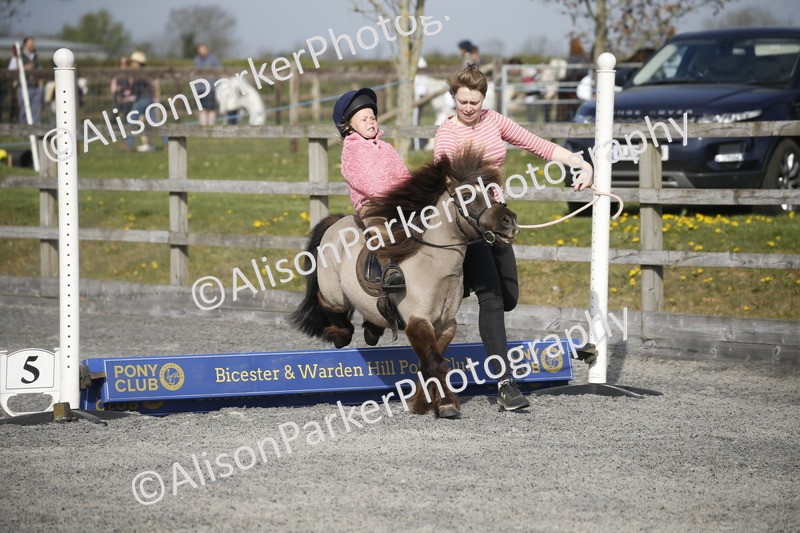 20250412-0115 - Show Jumping