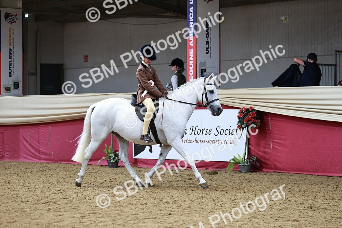 SBM_03085_Class 5a - Area - Ridden Veteran - Vicky Gutteridge