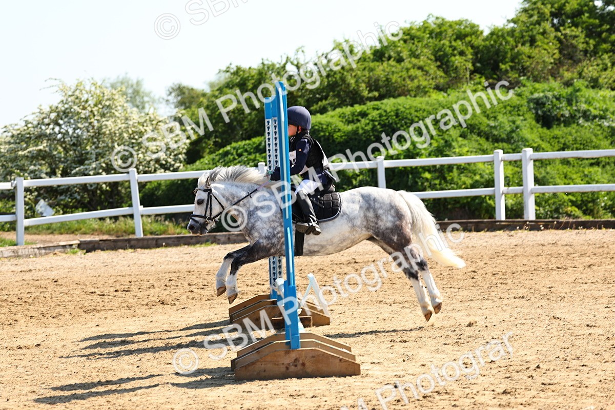 SBM_006757 - Class 2 - 50cm