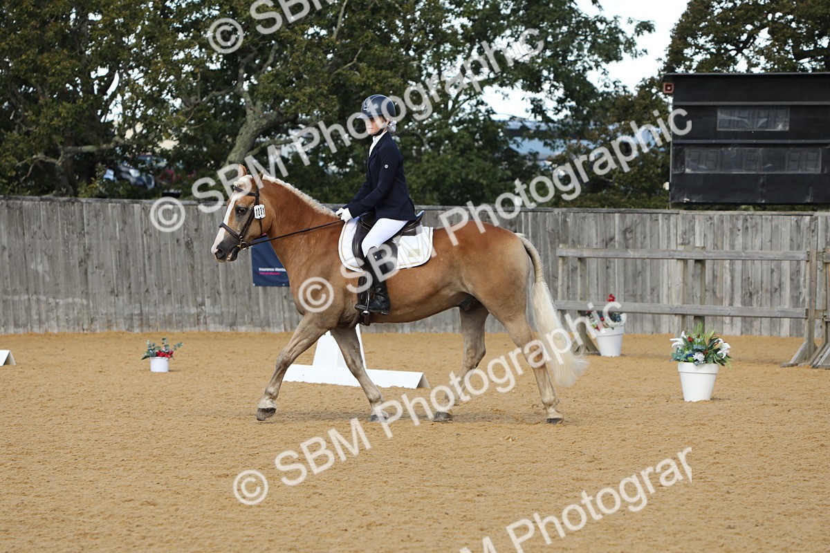 SBM_40556 - D21 - Junior Championship - Intro A