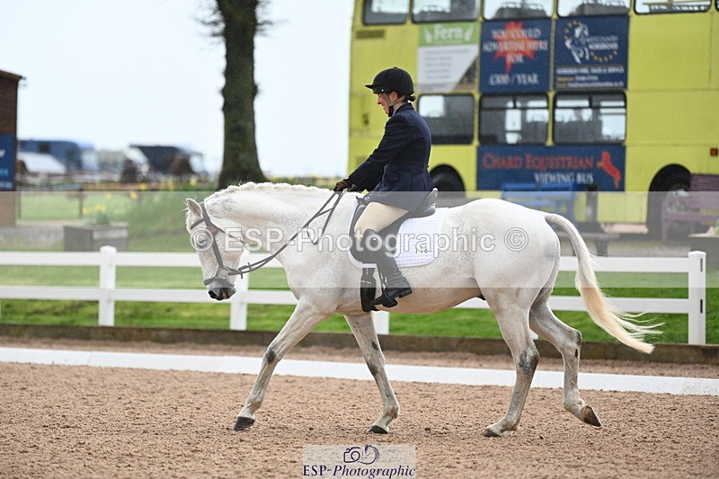 240323A-122836-01785 - DR Elementary 42