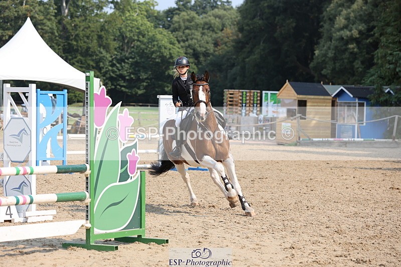 250816A-105209-00878 - Cls 3 Snr British Novice