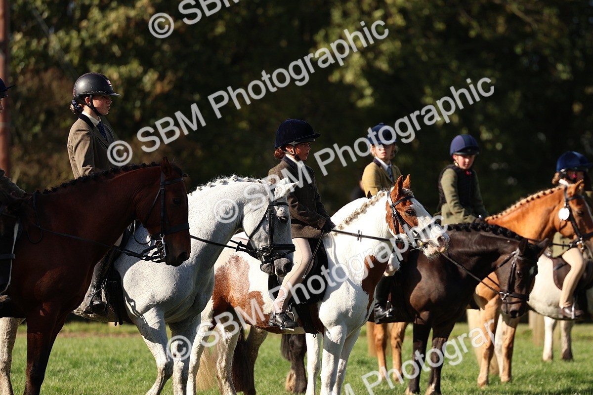 SBM_52465 - S13 - Pony Club Pony