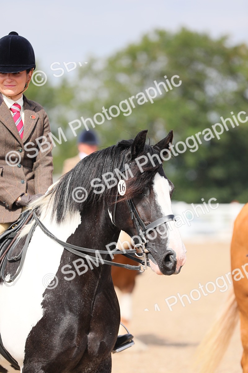 SBM_12839 - Class 307 Ridden Coloured Pony