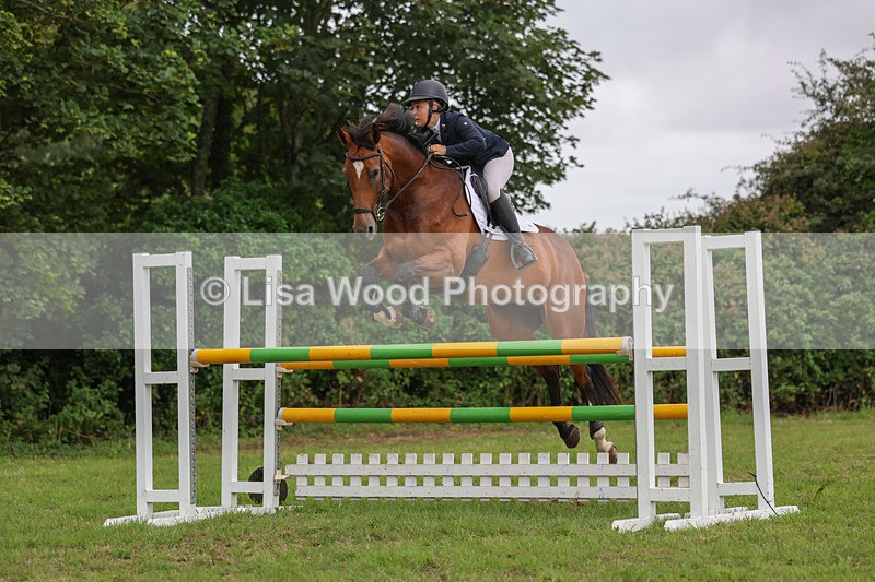 3E7A8213 - Class 7: Senior Newcomers/1.10m open