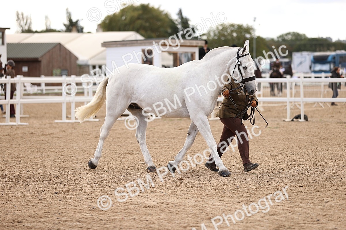 SBM_10382 - Class 405 - IH Show Cob