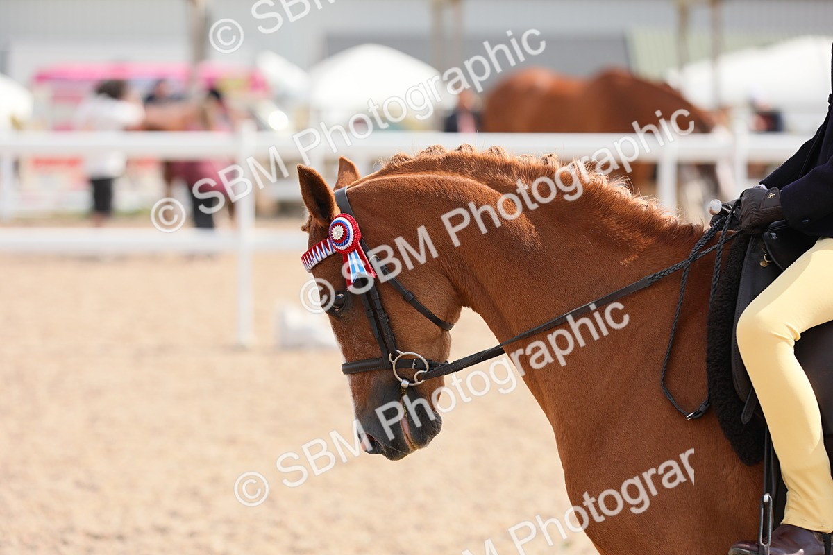 SBM_14754 - Class 310 First Ridden Pony