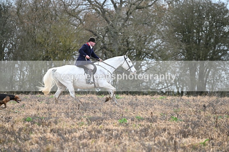 WJ6_9473 - Line Four