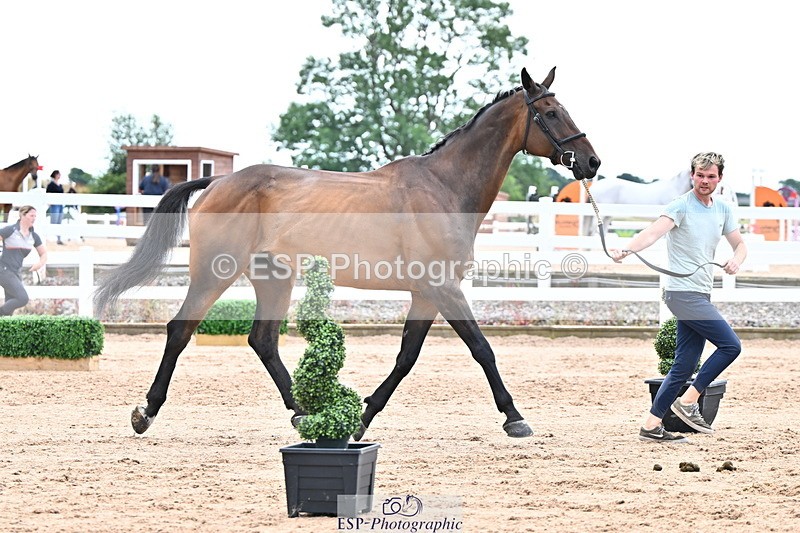 240718A-105326-02013 - Trot Up 2pm to 3pm - This folder is not in time order