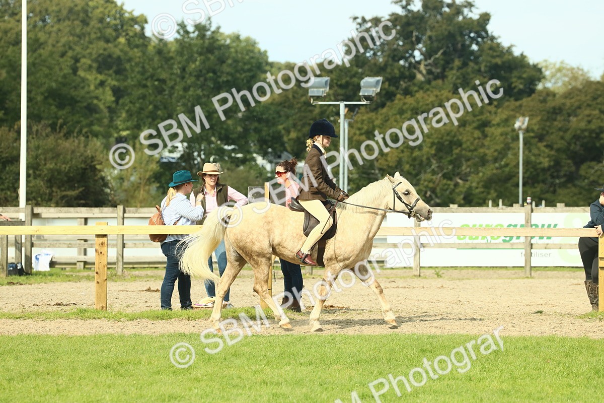 SBM_68829 - S58 - Mini Show Cob Ridden