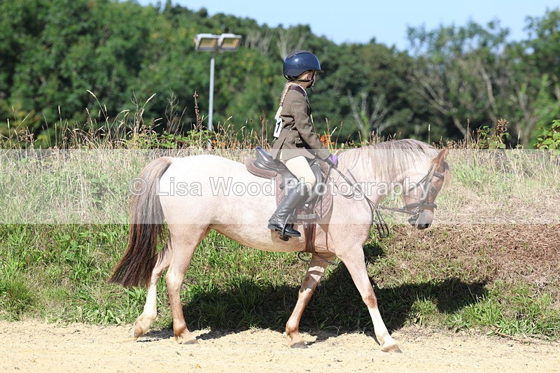 3E7A8093 - Class 16: First Ridden