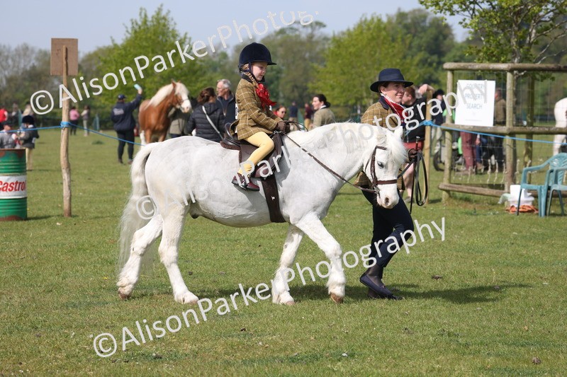20260426-0577 - Class 31 - Leading Rein