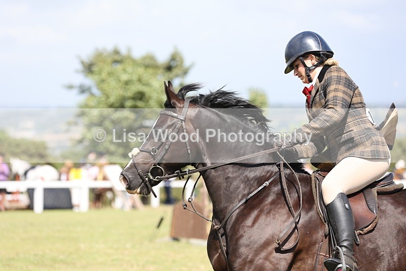 JPP_2217 - Class 19: Working Hunter 60cm