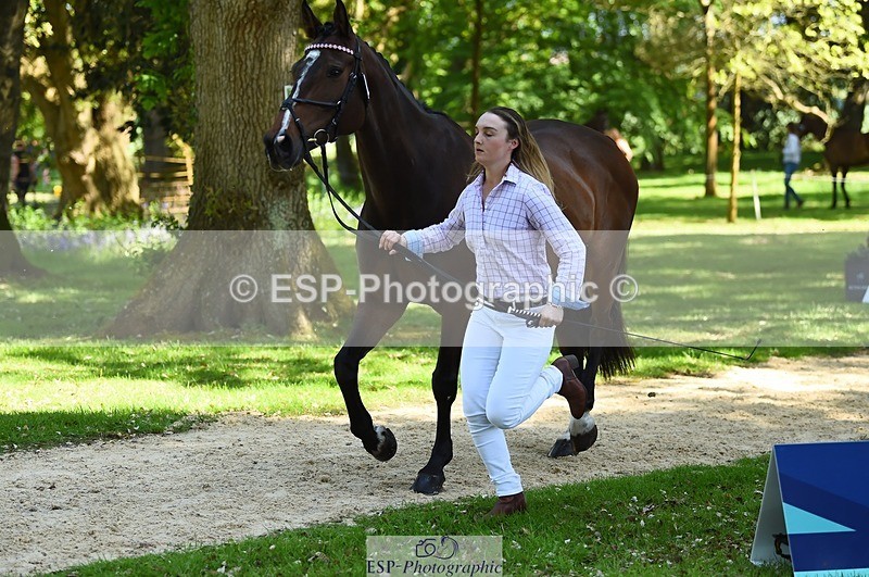 230524-152826-00290 - 379-QUIZICAL_Z-Alice_Hallows-WEDTrotUp+DR