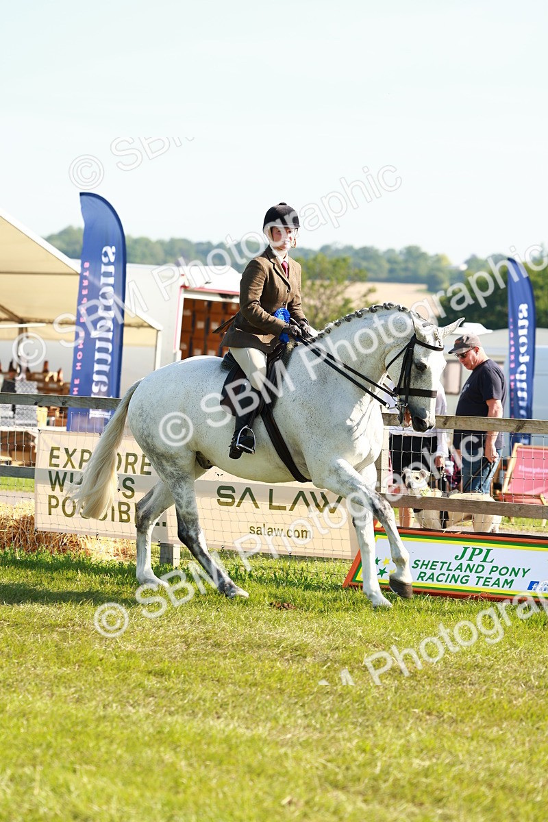SBM_10973 - Class 66-69 - RIHS Ridden Hunters Inc Small Hunter