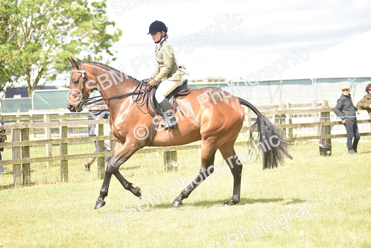 SBM_15080 - Class 113-114 - Retraining of Racehorses Ridden