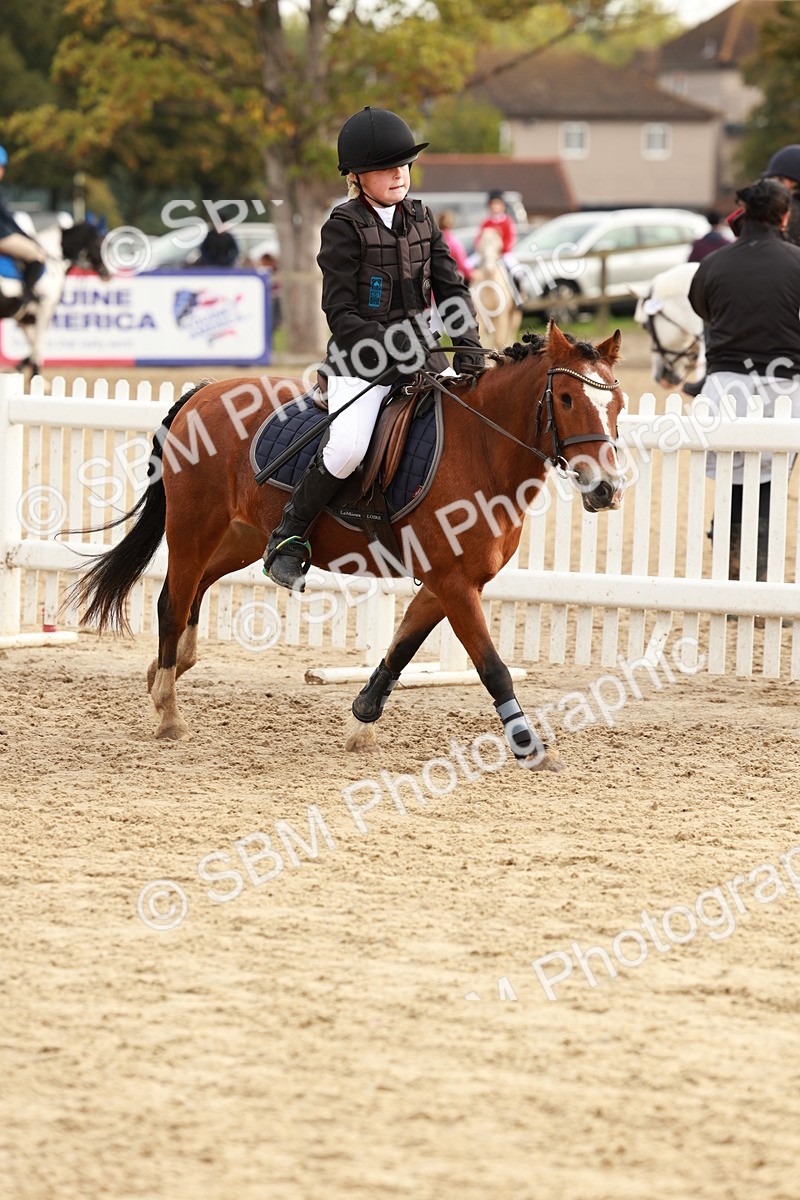 SBM_55757 - J11 - Junior Pony 50cm Championship