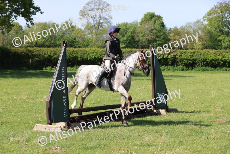 20250427-2383 - Class 19 - Mini Working Hunter