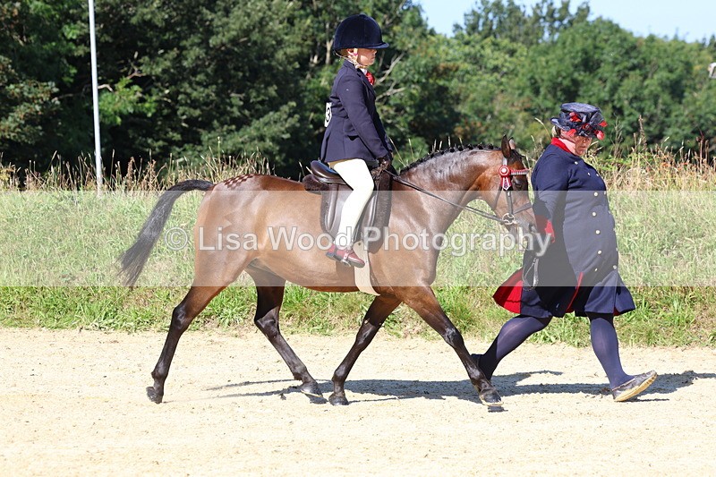 3E7A8017 - Class 15: Lead Rein