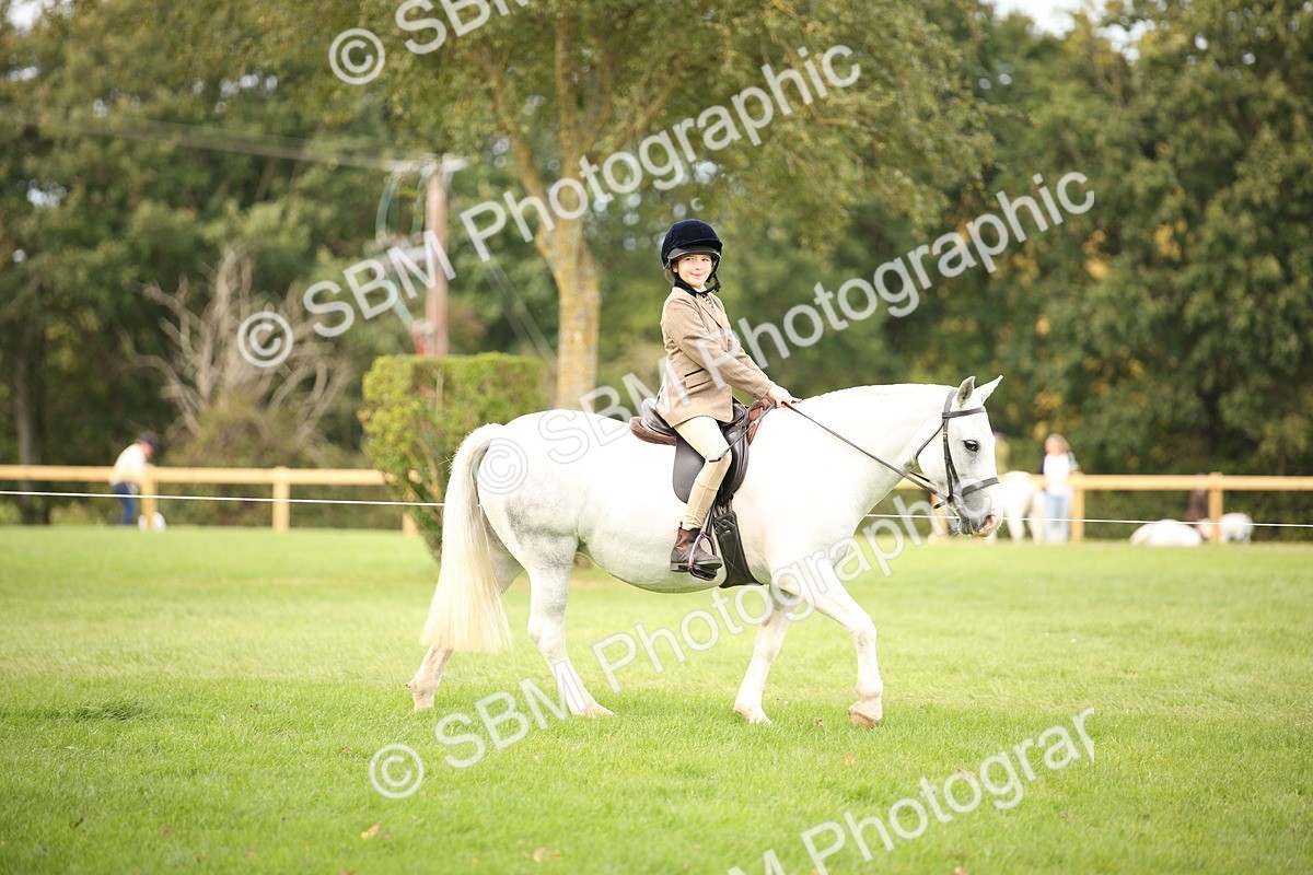 SBM_72342 - S67 - Show Cob Ridden