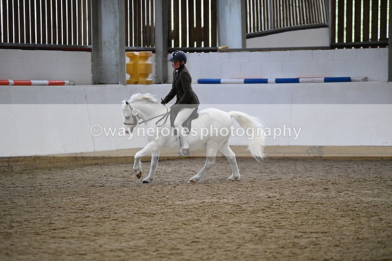 WJ5_6271 - Class 9 Ridden Veteran