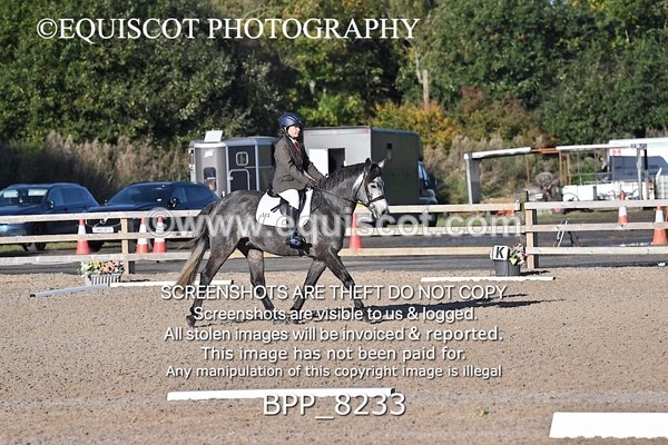 BPP_8233 - SHORT ARENA INTRO 1