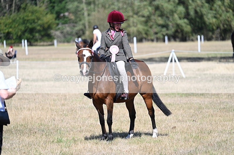 WJ7_4190 - Class 9 Mountain & Moorland Ridden