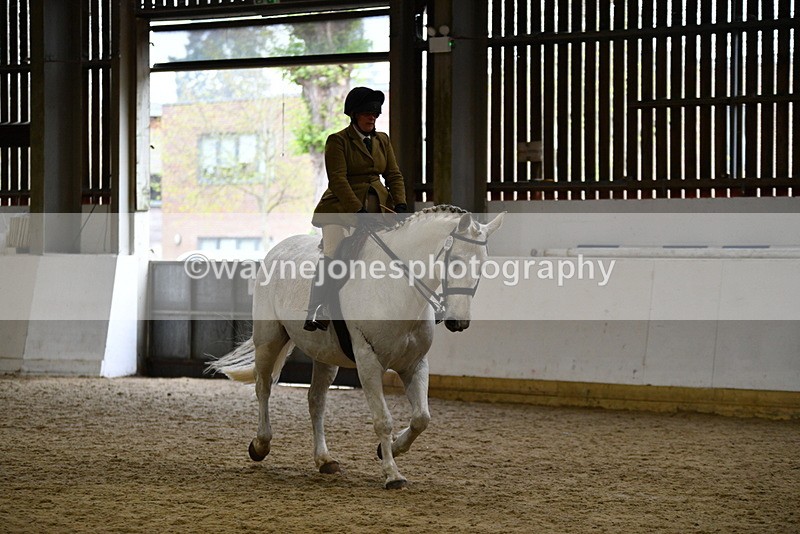 WJ5_9029 - Class 15 Ridden Show Horse